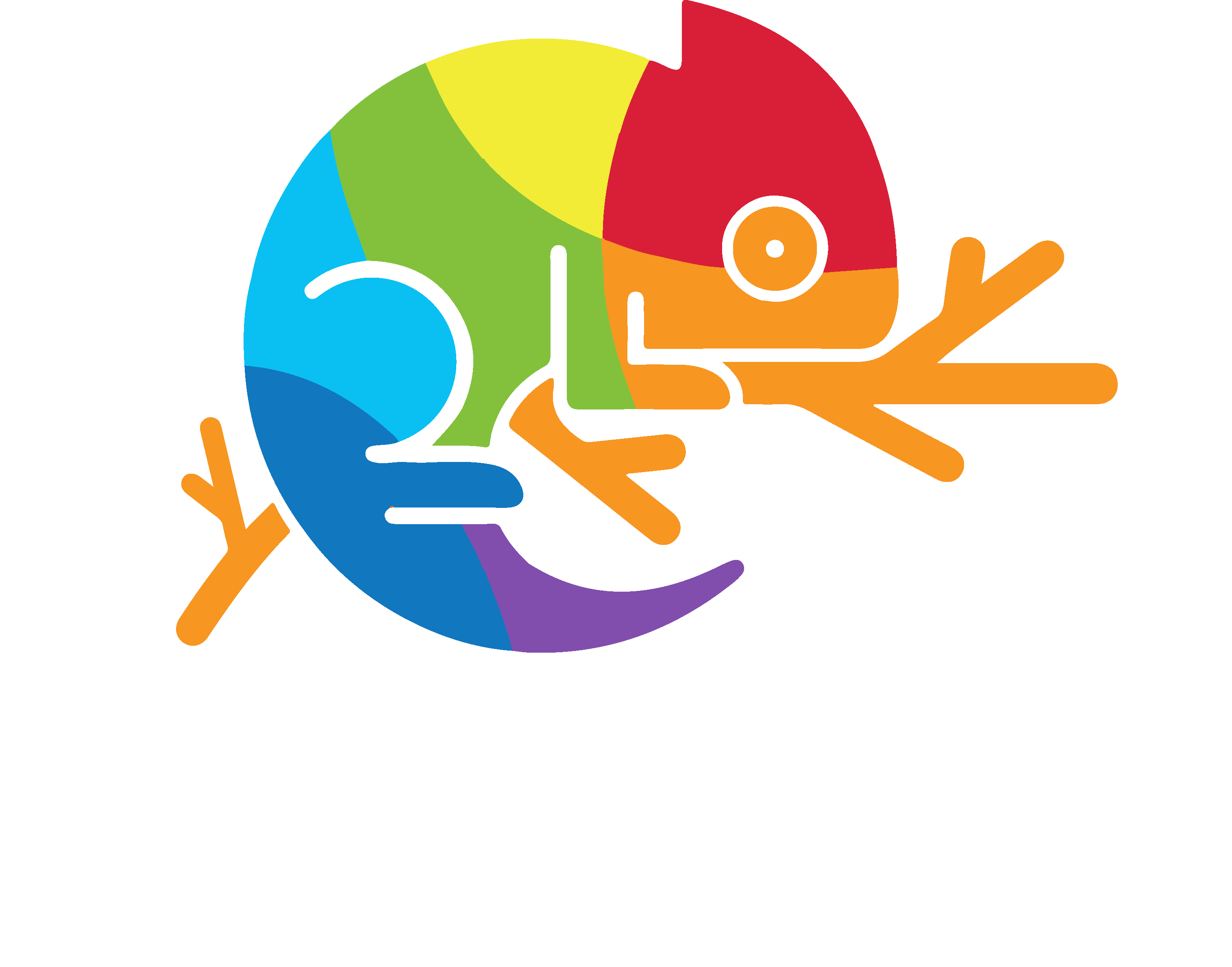 VAST Logo