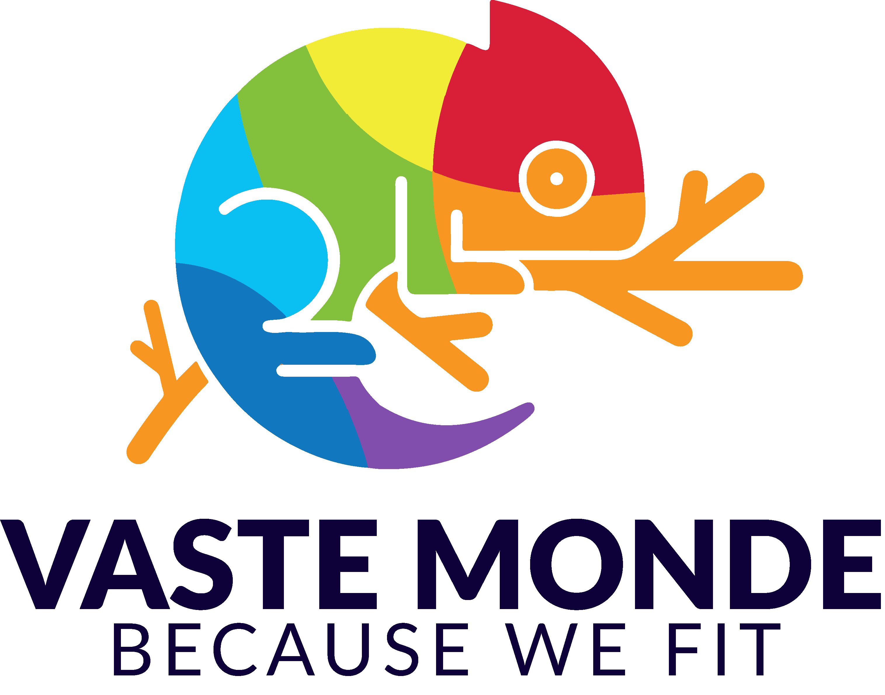 VAST Logo